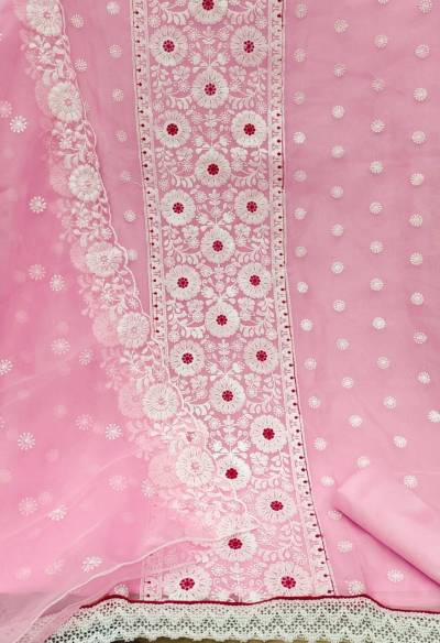 Organza vol 1 By RN Fancy Embroidered Salwar Suit Wholesaler in India